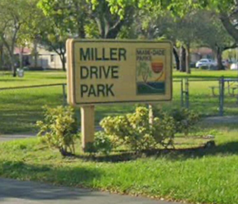 Free Wellness and Arts Outdoor Program at Miller Drive Park millerdrivepark 800x685 1