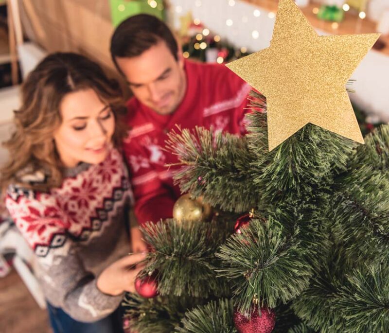 Shopping for a fresh Christmas tree? Follow these expert tips for optimal selection and care tree24df 800x685 1