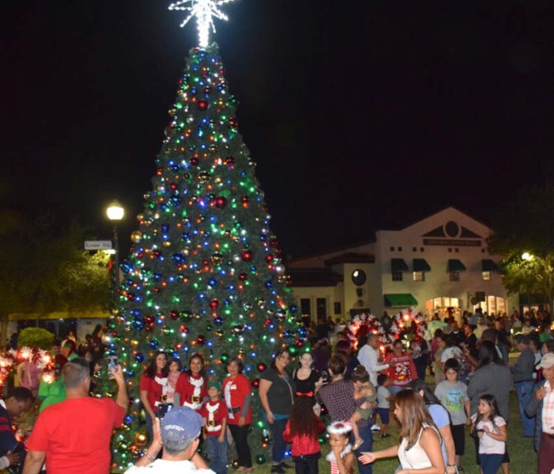 The City of Homestead Presents Holiday in Homestead – A Festive Tree Lighting Celebration for All Ages! treehomesteadfl27 800x685 1