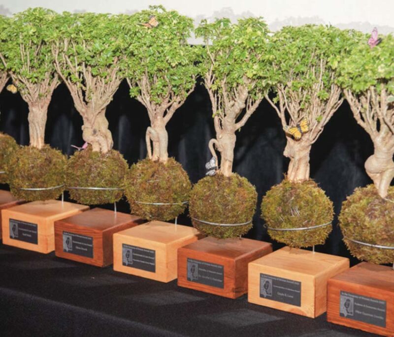Miami-Dade Parks’ 2025 In the Company of Women Awards to honor 13 inspiring women, commemorate Women’s History Month womendacounty 800x685 1