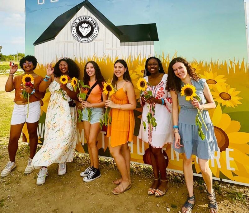 The Berry Farm’s 5th Annual Flower Festival kicks off with stunning blooms, U-Pick Fields, Live Music, and More berryflowers 800x685 1
