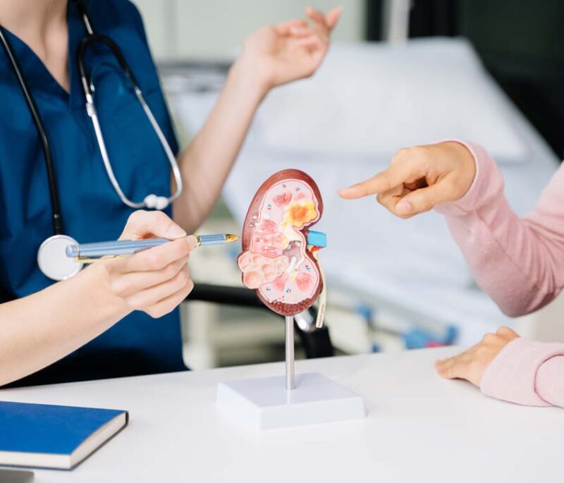 Mayo Clinic Doctor Says Living Kidney Donation Can Prevent Dialysis kidneycodo 800x685 1