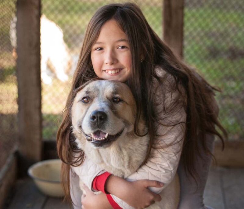 Give a Home to a Paw in Need! Adopt in Miami-Dade and Broward adptanima 800x685 1