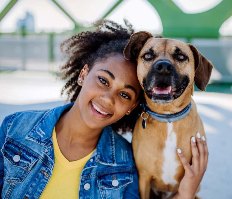 Miami-Dade Invites the Community to Adopt a Pet on Save Charlie Day This December 15 dogadpciondec25 800x685 1